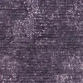 Viola 23